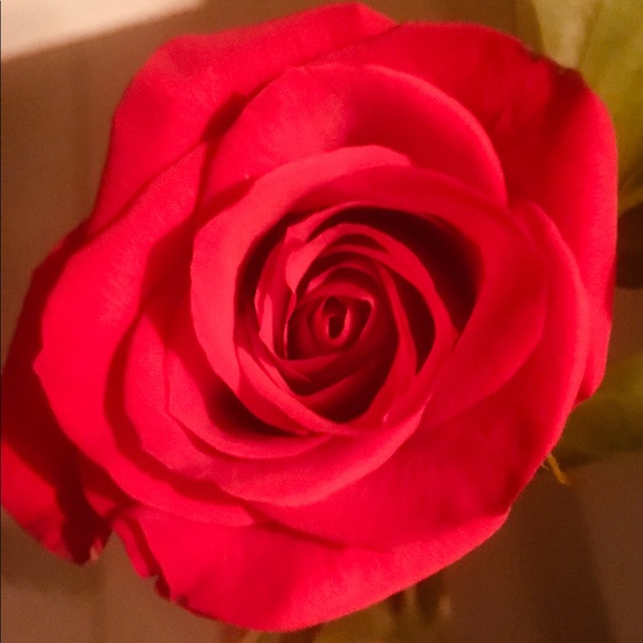 Meet your Posher, T - Picture 1 of 1